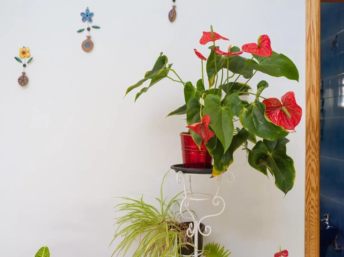 Agaete Pupe Home By Canariasgetaway 0*, Agaete (Gran Canaria)